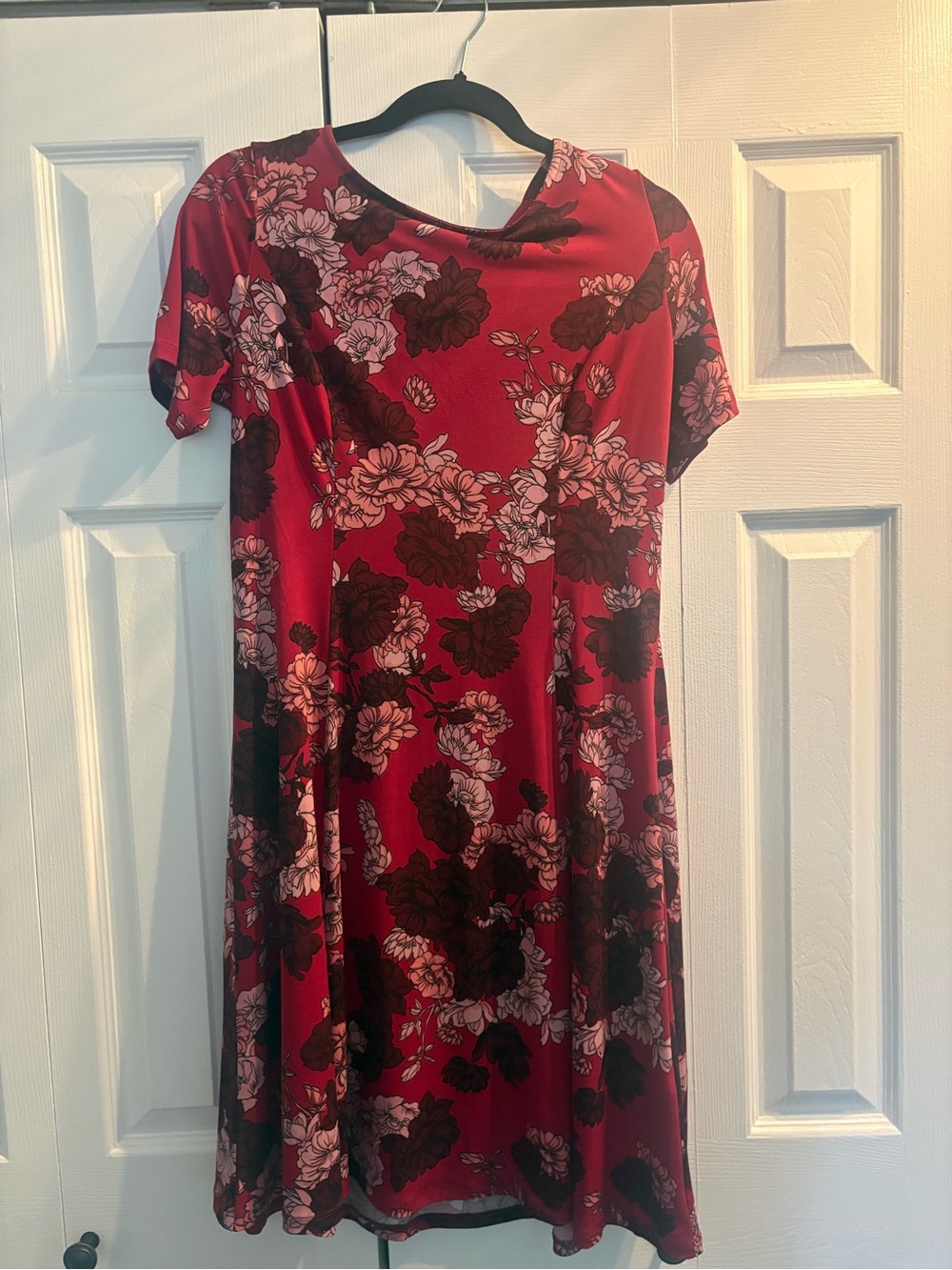 Roz & Ali Red Floral Short-Sleeve Swing Dress